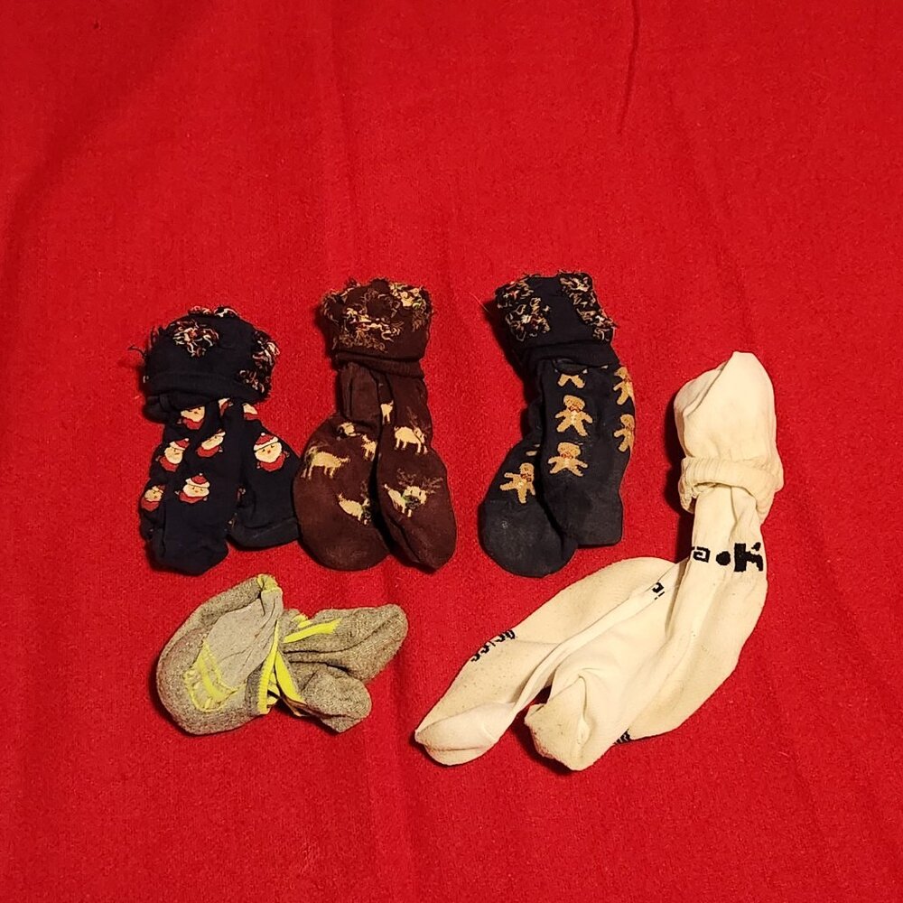 5 pair of ladies socks